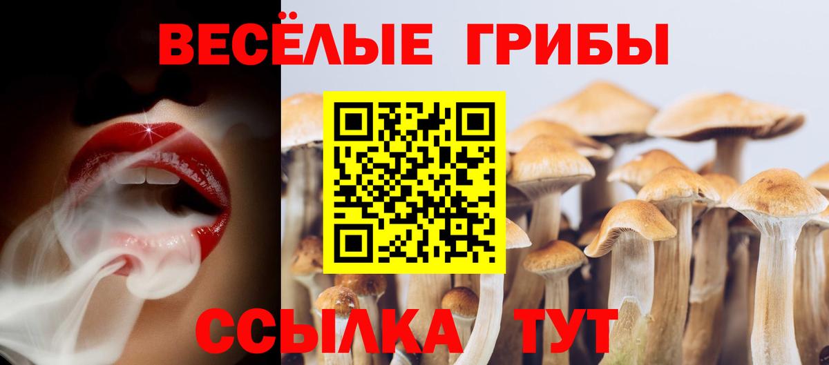 Лянтор  Псилоцибиновые грибы мухоморы  Галлюциногенные грибы Magic Shrooms  Вход с VPN 
